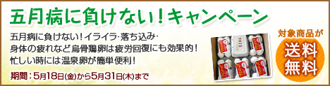 今なら送料無料キャンペーン♪