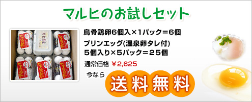 烏骨鶏卵とプリンエッグの詰め合わせ