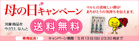 【送料無料】極上の烏骨鶏卵母の日キャンペーン開催中！（マルヒ）