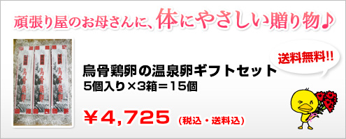 烏骨鶏プリンエッグギフト