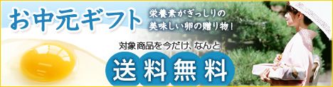 送料無料！お中元！もうすぐ終了！