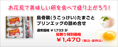 烏骨鶏（うこっけい）たまごとプリンエッグの詰め合せ