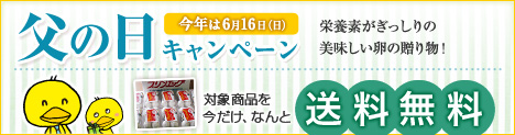 今なら送料無料！父の日のプレゼント！