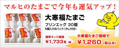 烏骨鶏卵の温泉卵ギフトセット