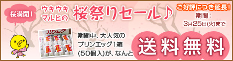 延長決定！送料無料！桜祭り