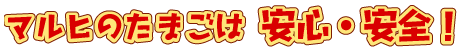 �摜�F�}���q�̂��܂��͈��S�E���S�I