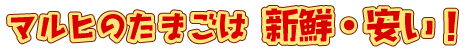 �摜�F�}���q�̂��܂��͐V�N�E�����I�I
