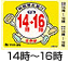 14時〜16時